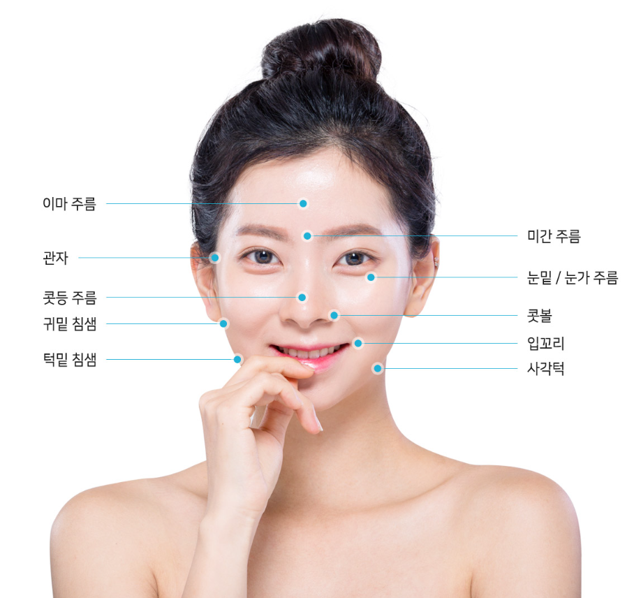 보톡스 시술 부위 안내 — 이마·미간·눈가·콧등·입꼬리·사각턱·관자·침샘 등