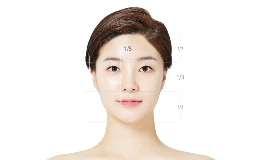 황금비율을 고려한 정면 얼굴 비율 안내