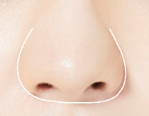 주먹코형 콧볼